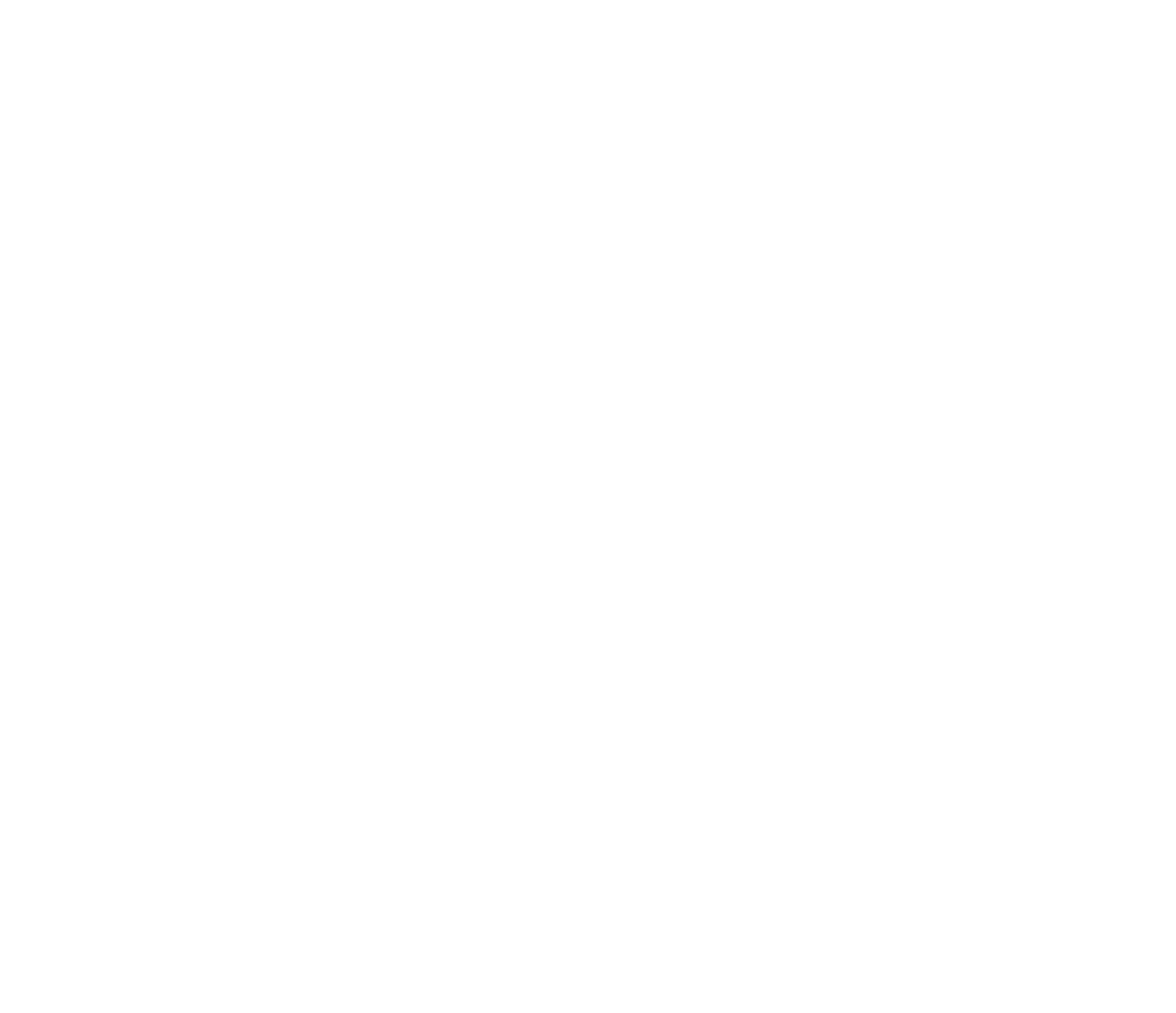 WildLine Detailing Logo